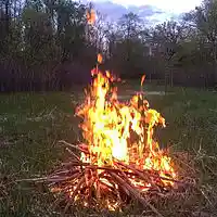 Picture for song 'Here Lies Angel Lane - 1958-1996 RIP' by artist 'D B Hankinster'