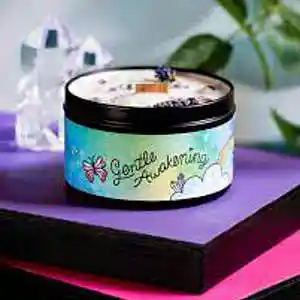 Picture for song 'Rainforest, Weathervein' by artist 'Johanna Renfro'