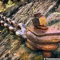 Picture for song 'Rock Chain: Margaritaville' by artist 'paul gorman and the hypnotist collectors'