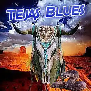 Picture for song 'Tejas Blues' by artist 'Swampman And The Machine'
