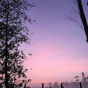 Picture for song '"Purple or Pink" Beat for Sale' by artist 'whoDeanyBeatz'