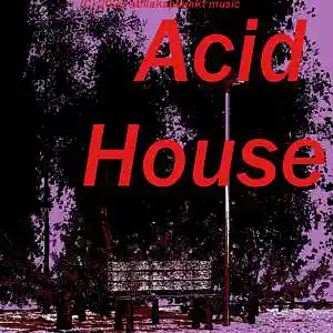 Picture for song 'ACID HOUSE' by artist 'atillakapunkt'