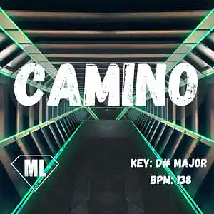 Picture for song 'CAMINO - Mendi Like (138 BPM - D# Major )' by artist 'Mendi Like'