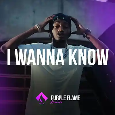 Picture for song 'I Wanna Know (Buy 1 Get 1 Free)' by artist 'PURPLE FLAME BEATS'