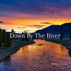 Picture for song 'Down By The River' by artist 'Richard Shekari'