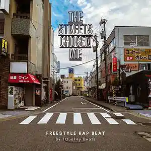 Picture for song 'Streets Chosen Me' by artist 'T-Quality Beatz'