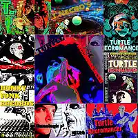 Picture for song 'Percolation Nation' by artist 'Turtle Necromancer'