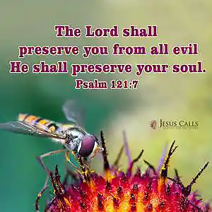 Picture for song 'Preserve My Soul' by artist 'CHRISTIAM DISCIPLE'