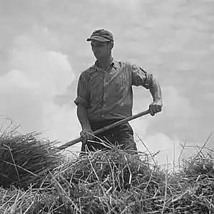 Picture for song 'Long Days Billy Bob Shane demo' by artist 'Lonnie Ratliff'