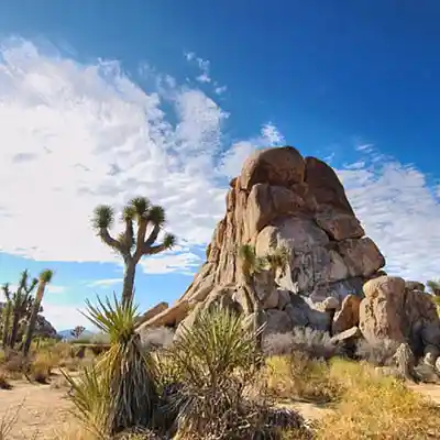 Picture for song 'cali powa 1' by artist 'Patracks'