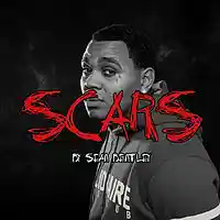 Picture for song '*Scars* New Banger (Free DL)' by artist 'Sean Bentley'