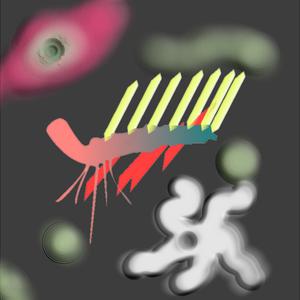 Picture for song 'Bay' by artist 'No Curfew Kids'