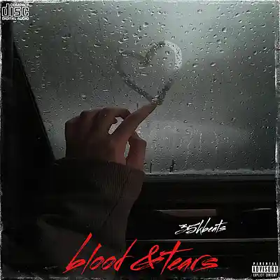 Picture for song 'blood & tears' by artist '35kbeats'