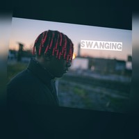 Picture for song 'SwanGin' by artist 'AngelOnDaBeat'