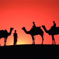 Picture for song 'Bedouin Traveller (w. TonyM617)' by artist 'Barkndog'