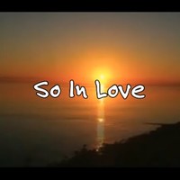 Picture for song 'o so in love' by artist 'BeatsHoven'