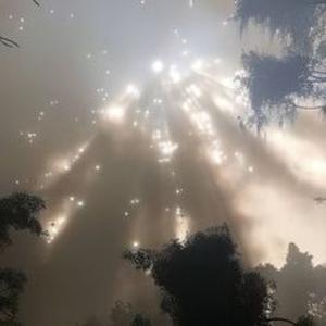 Picture for song 'Unidentified *Dark Trap Beat*' by artist 'cashnitro'