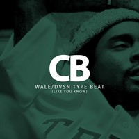 Picture for song 'Like You Know ' by artist 'chrisbanks'