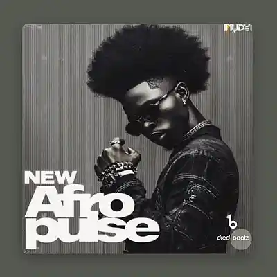 Picture for song 'Afrobeat "Power"' by artist 'Dredbeat'
