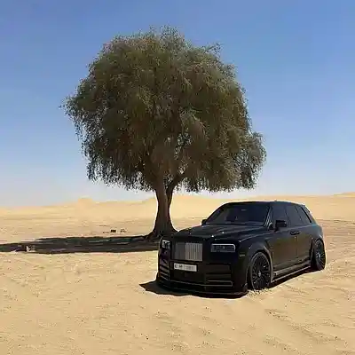 Picture for song 'Tritolo' by artist 'eshenkoboy'