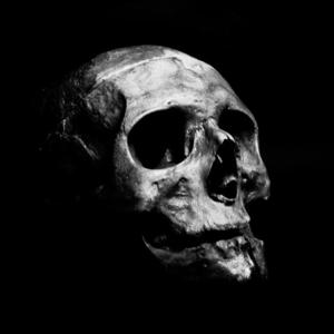 Picture for song '*SOLD* HUNTING' by artist 'HOLLYWOOD LEGEND PRODUCTIONS'