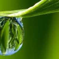 Picture for song 'H20' by artist 'Inim Productions'