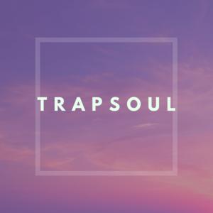 Picture for song 'Trapsoul lofi' by artist 'JarydAudio'