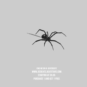 Picture for song 'Dark Guitar Type Beat "Spider" Emo Instrumental' by artist 'JCE Beats'