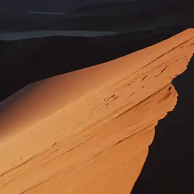 Picture for song 'THE DUNES OF THE NAMIB' by artist 'Jomisee'