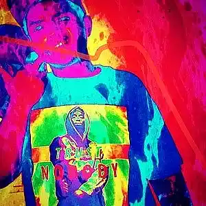 Artist picture