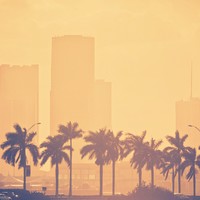 Picture for song 'Misfits' by artist 'Marco El Mago'