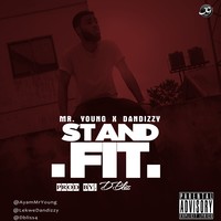 Picture for song 'STAND FIT' by artist 'Mr. Young'