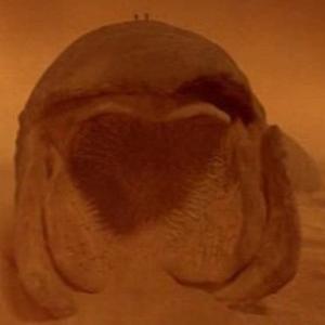 Picture for song 'Dune Theme' by artist 'Previous Signs of Decay'