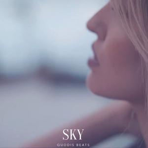 Picture for song 'SKY ROSALÍA type beat Afrobeat type beat' by artist 'Quodis'