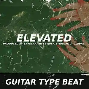 Picture for song 'Spanish Guitar/Flute Trap Type Beat - Elevated' by artist 'Skyscraper Seven'