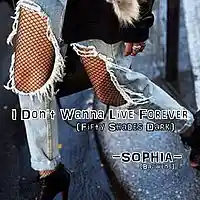 Picture for song 'I Dont Wanna Live Forever ' by artist 'Sophia Bauwens'