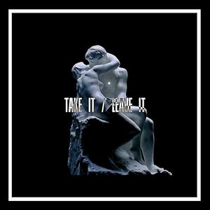 Picture for song 'Take It / Leave It' by artist 'SOVLMATE'