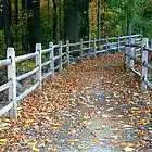 Picture for song 'It's A Beautiful Day' by artist 'TAPPIN' TOMMY SHOW'