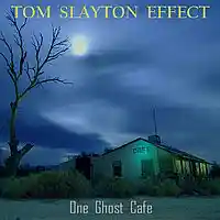 Picture for song ' The Magic Room' by artist 'Tom Slayton Effect'