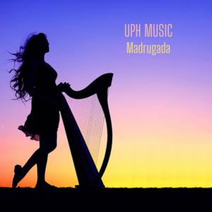 Picture for song 'Madrugada Trap x Reggaeton Type Beat' by artist 'UPH Music'