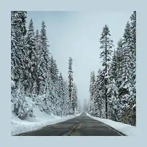 Picture for song 'December (Sad...)' by artist 'Combo West'