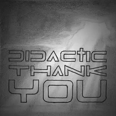 Picture for song 'Thank You' by artist 'Didactic'