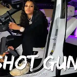 Picture for song 'Shot Gun' by artist 'Hashtag6eatZ033'