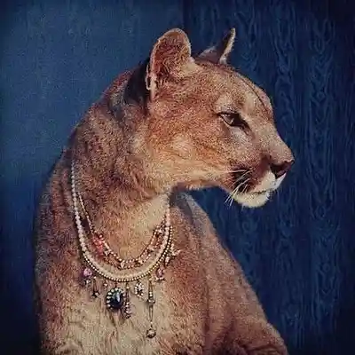 Picture for song 'night lovel - griselda type beat BUY 1, GET 2' by artist 'KroM Beatz'