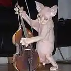 Picture for song '___*UPRIGHT VIBES*___ (Free DL)' by artist 'MoSound Productions'