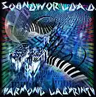 Picture for song 'The Harmonic Labyrinth' by artist 'SoundworldA.D.'