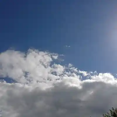 Picture for song 'Open gates' by artist 'The Last People'