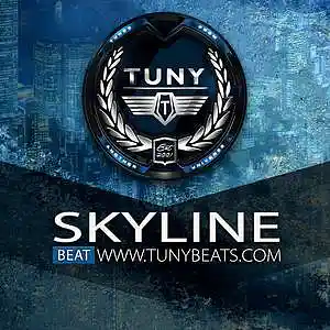 Picture for song 'Skyline' by artist 'Tuny Beats'
