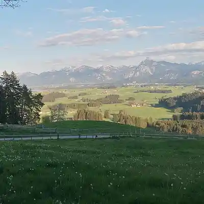 Picture for song '20250429_195157_FS_Königin_DER_WaHRHeit_1' by artist '786 scheint-Al'lahs Bande'