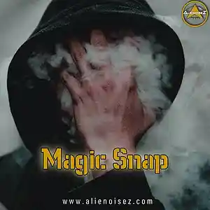 Picture for song 'Magic Snap' by artist 'Alienoisez Beats'